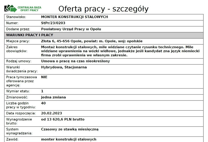 Najlepsze oferty pracy z Opolszczyzny. Pensje od 8 do 13 tysięcy złotych. Najciekawsze ogłoszenia o zatrudnienie. 22.03.2023