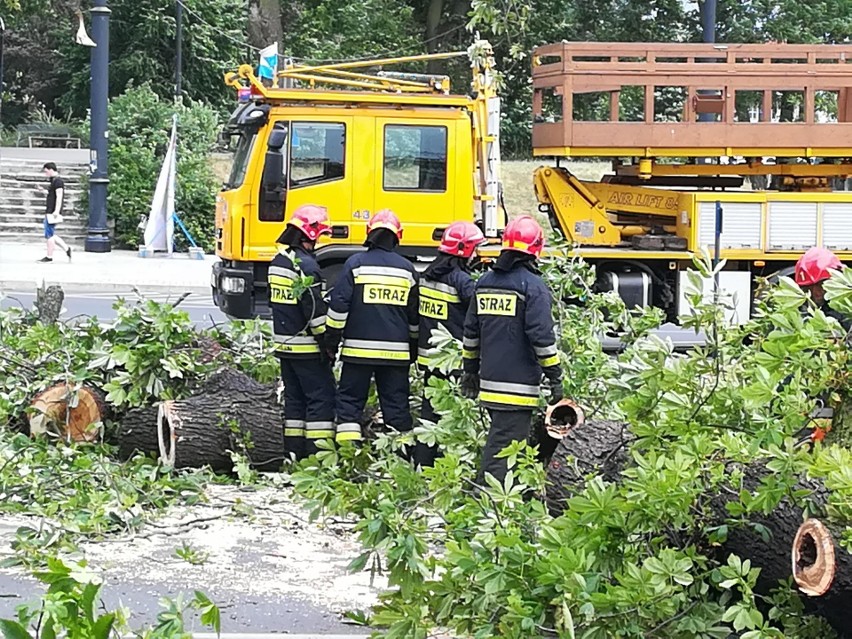 Przewrócone drzewo na skrzyżowaniu Odrodzenia z Czerwoną Drogą, wypadek na A1 - skutki wichury w Toruniu [wideo]