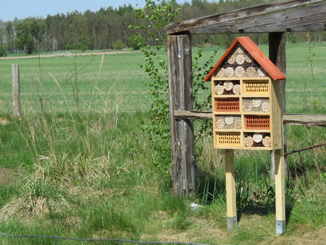 - Warto wspierać ochronę błonkoskrzydłych owadów, pasieczną hodowlę pszczoły miodnej. Miód można przywieźć z odległych krajów, jednak zapylania nie da się importować - podkreśla Józef Popiel