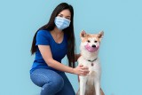 Opieka nad zwierzętami w czasie zagrożenia koronawirusem. Co zrobić z psem lub kotem? Zaplanuj to!