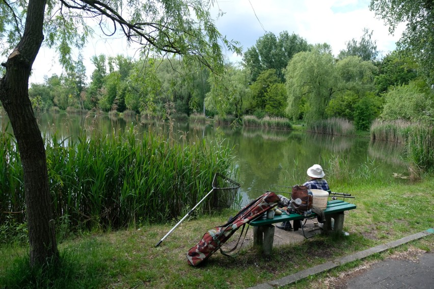 Żabie Doły polecają się na weekend....