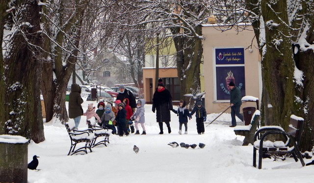 Pierwsze solidne opady śniegu w Grudziądzu. Cieszą się dzieci, ale służby porządkowe i kierowcy zadowoleni nie są.