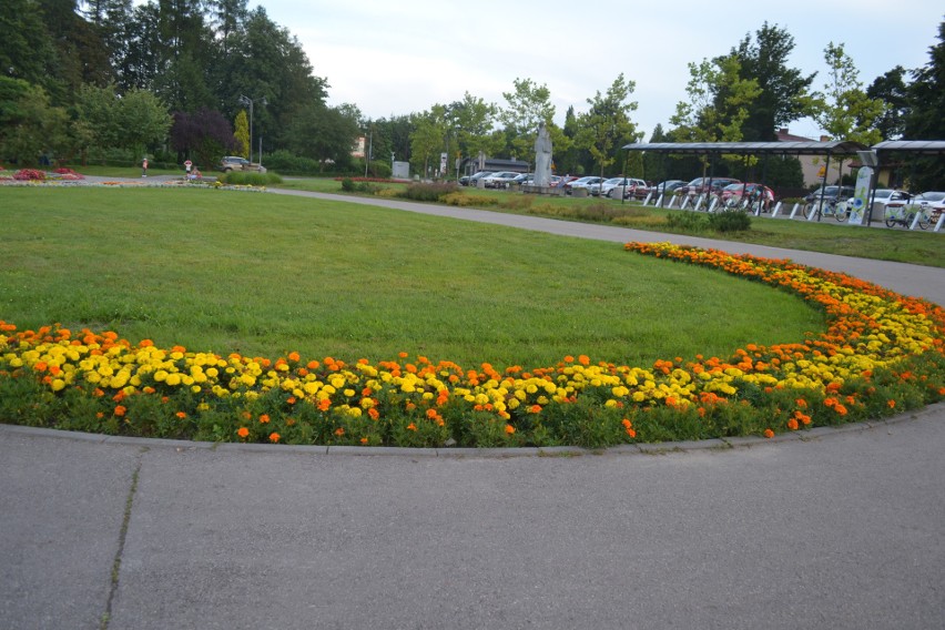 Park Kuronia w Kazimierzu Górniczym...