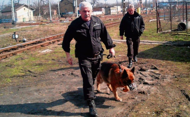 Sokista Józef Grygiel patroluje teren PKP ze swoim czworonożnym pomocnikiem