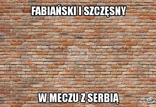 Memy po meczu Polska - Serbia