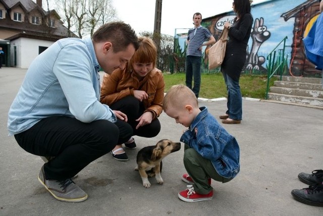 Rodzina oglądała urocze szczeniaki i nieco starsze zwierzęta, które mieszkają w placówce.