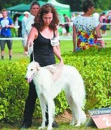 Myśliwy pomylił charta z dzikim zwierzęciem. Nadia została zatrzelona i zakopana na oczach właścicielki