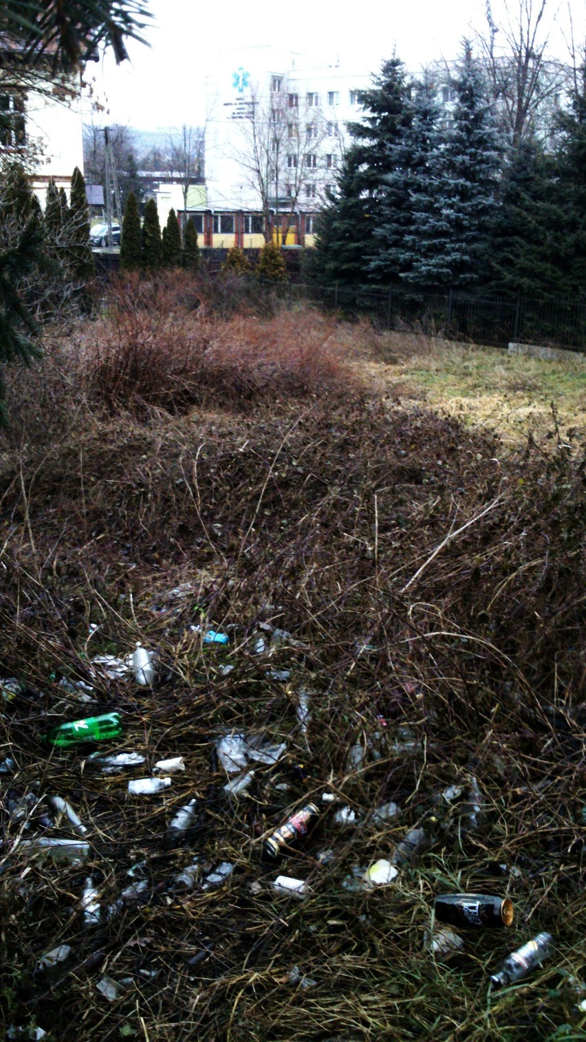 Nowy Sącz. Puchowy śniegu tren... okrywa szpetotę