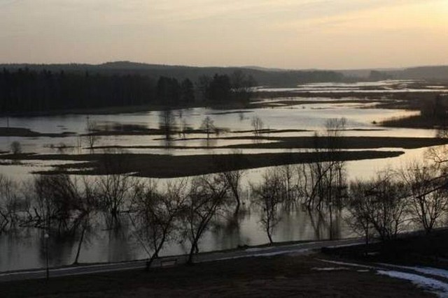 rozlewiska rzeki Supraśl