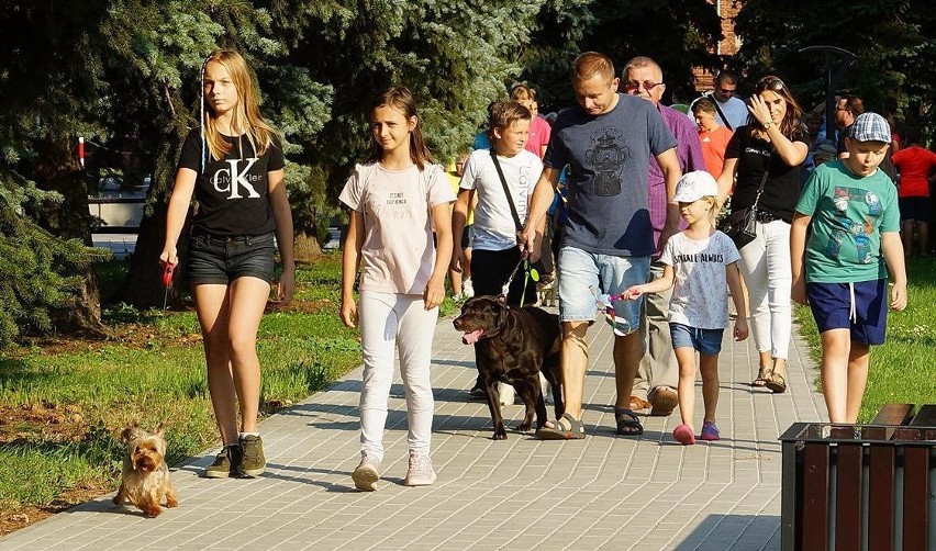 Kazimierza Wielka zafundowała sobie pierwszą paradę psów....