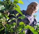 Przyroda też ciężko znosi nietypową wiosenną pogodę