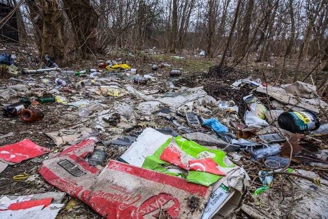 Lasek przy szpitalu miejskich jest pełen śmieci