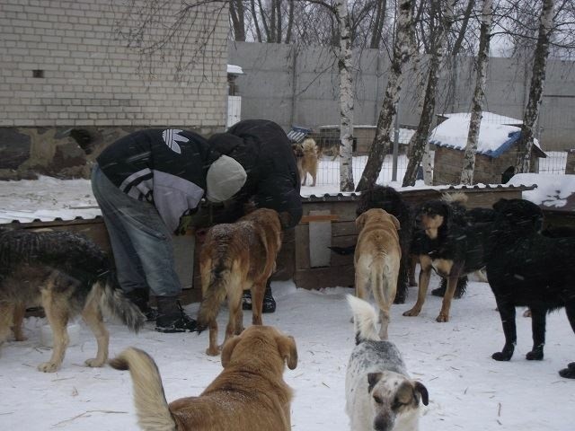Łukasz Litewka i jego team ruszyli z pomocą Schronisku Canis w Kruszewie. W 7 godzin uzbierali ponad pół miliona złotych!