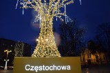 Iluminacja świąteczna w Częstochowie. Są między innymi ogromne renifery, niedźwiedź polarny i huśtawka