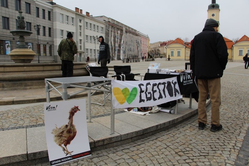 Białystok Akcja "W te święta popieramy zwierzęta" (zdjęcia, wideo)
