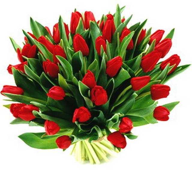W Polsce kiedyś popularne były goździki, dziś mężczyźni wybierają tulipany.