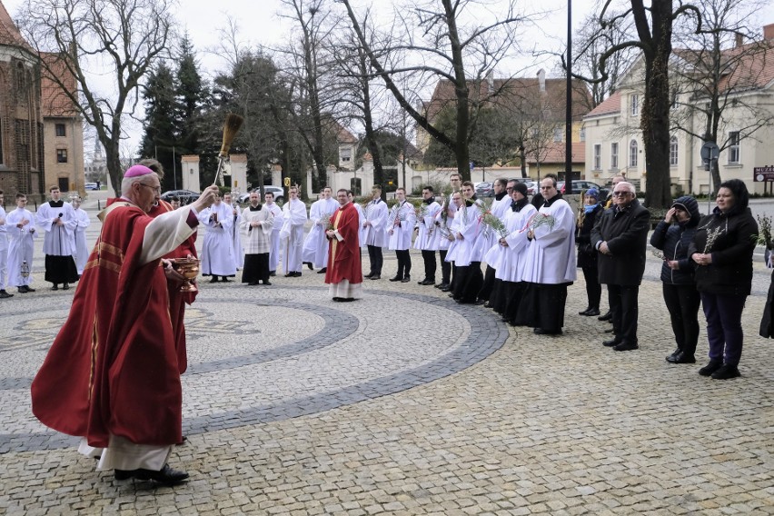 Arcybiskup Stanisław Gądecki poświęcił palmy na Ostrowie...