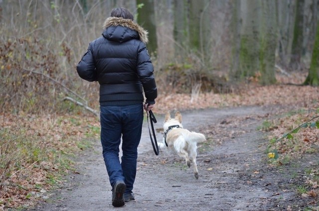 Zawsze warto zainteresować się zasadami spacerów z psem obowiązującymi w naszej gminie czy mieście.