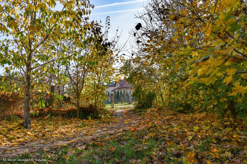 Tutaj ma powstać miejsce piknikowe na Bacieczkach