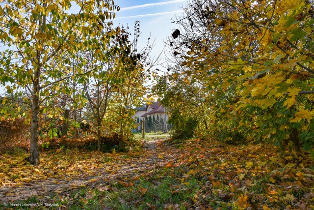 Tutaj ma powstać miejsce piknikowe na Bacieczkach