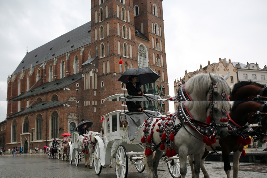 W Krakowie nie będzie dorożek? Tego chcą obrońcy zwierząt