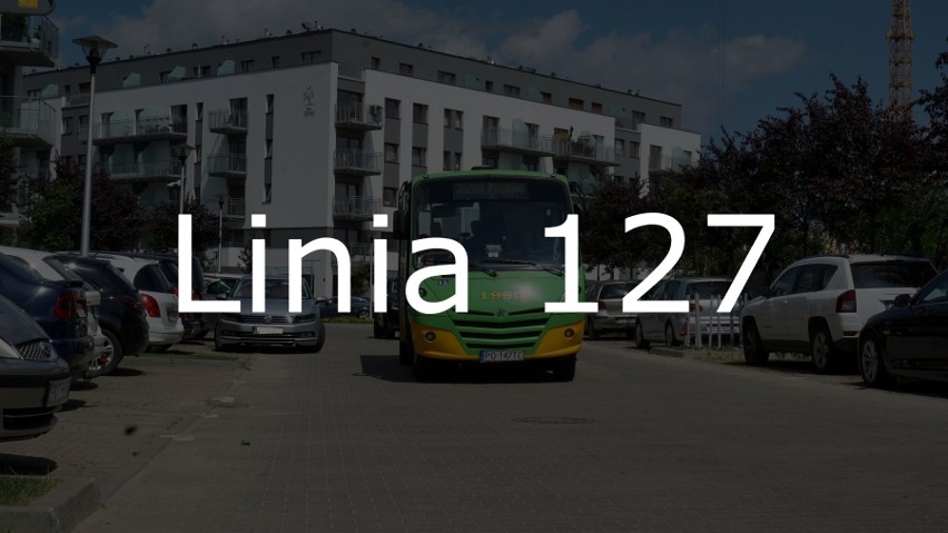 Linia nr 127 umożliwiałby obsługę osiedla Antoninek,...