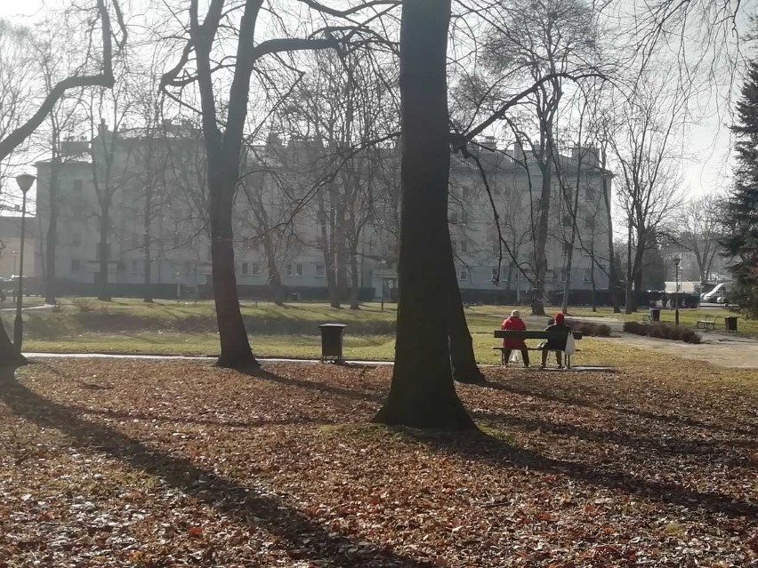 Park przy ul. Dąbrowskiego w Rzeszowie.