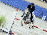 Piękne konie na międzynarodowych zawodach we Wrocławiu. Zobaczcie, jak one skaczą!