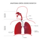 7 maja - światowy dzień astmy