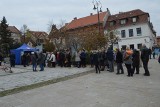 Myślenice „Pomóż złapać oddech światu, posadź drzewo od powiatu”. W poniedziałek będzie można otrzymać sadzonki drzew