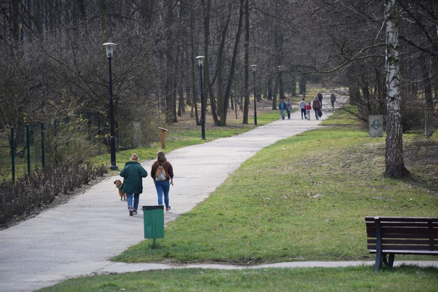 Pełno spacerowiczów w Parku Śląskim. Czy to bezpieczne?...