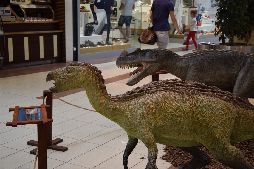Dinozaury śmieszą i straszą w Galerii Jurajskiej