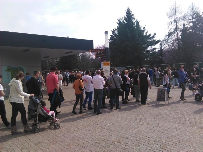 Tłumy w zoo Wrocław - w weekend 11-12.04.2015 r. zoo...