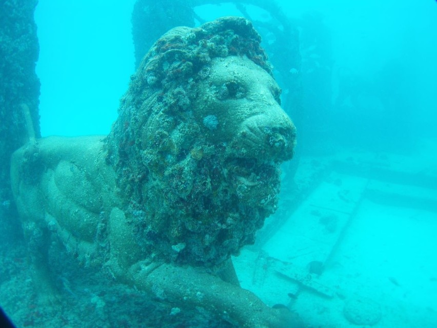 Neptune Memorial Reef, Floryda, USA...