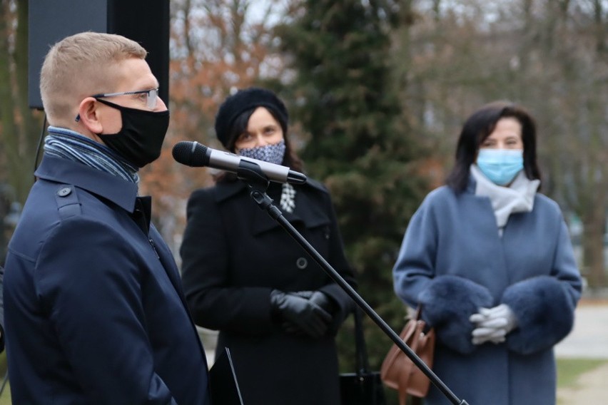 Częstochowa: Łąki antysmogowe powstaną w mieście w ramach "Częstozielona". Ma być zielono i ekologicznie