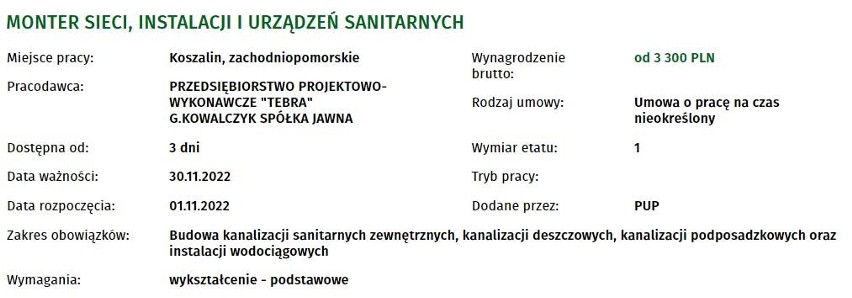 Kogo poszukują pracodawcy z Koszalina i okolic? Jakie...