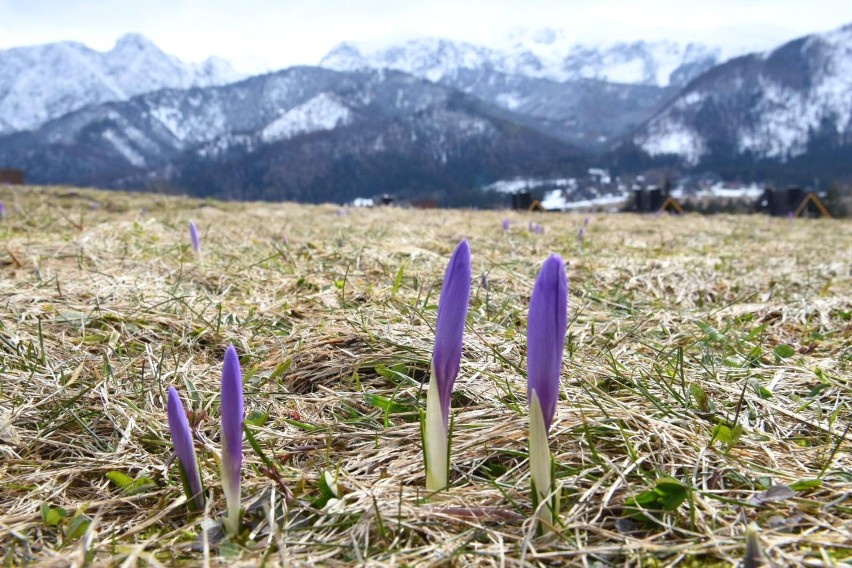 Kto powiedział, że w Tatry nie możecie iść z wózkiem? Spacer...