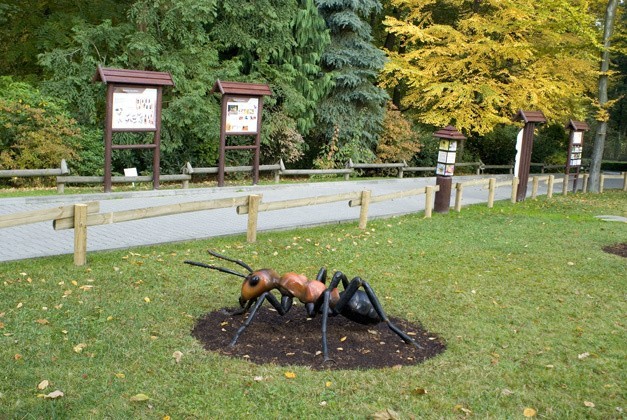 Odwiedzający zoo mogą obejrzeć wielkie owady obok żyrafiarni