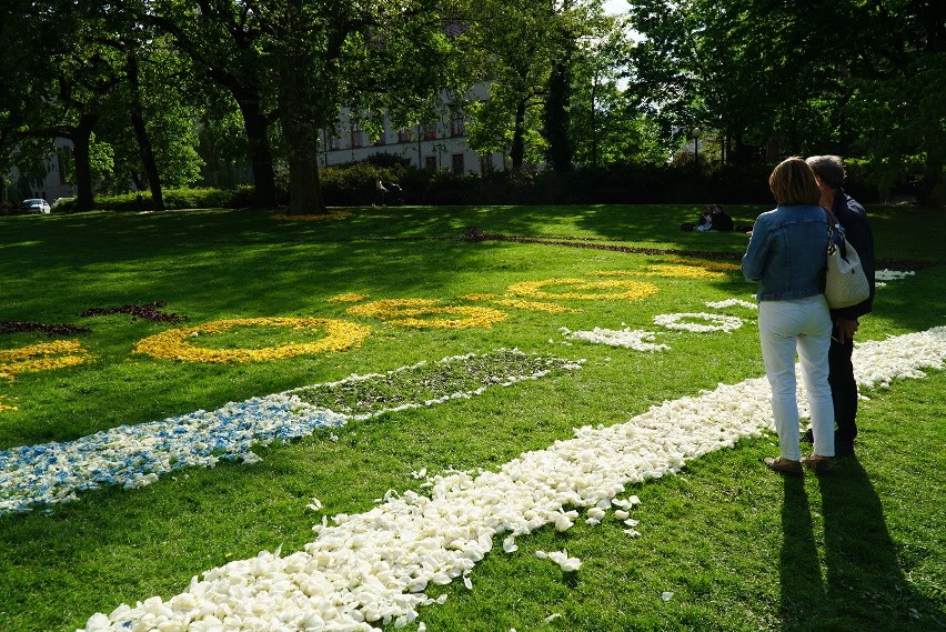 Dywan Kwiatowy w Parku Mickiewicza