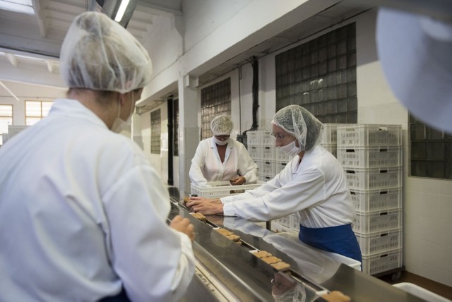 Produkcja KatarzynkiZ okazji zbliżającego się święta piernika, toruńska fabryka pierników Kopernik wpuściła nas na taśmę produkcyjną legendarnej Katarzynki.