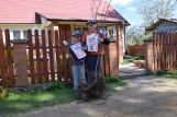 Patriotyczne prace plastyczne zostały docenione. W nagrodę dzieci otrzymały "Jabłonki Ewy"