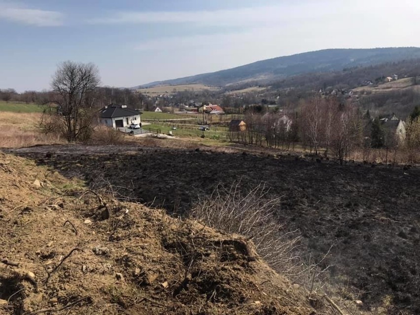 Pożar traw w gminie stryszów