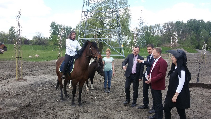 Sosnowiec: ogród polisensoryczny otwarty po II etapie budowy [ZDJĘCIA]