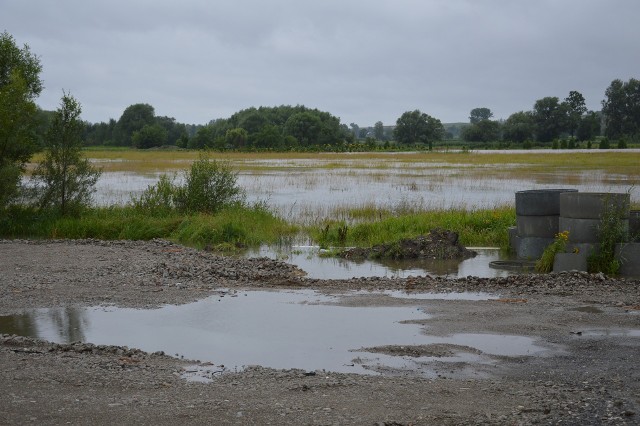 Radny Wiesław Pabjańczyk przypomina, że łąki nadrzeczne to tereny zalewowe. Tak wyglądały w sierpniu ubiegłego roku.