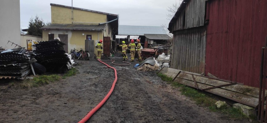 Pożar w kuchni budynku gospodarczego w Radoszycach. Policjanci ewakuowali mężczyznę. Zobacz zdjęcia 