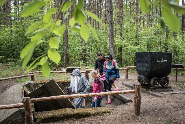 Wiecie, że w Borach Tucholskich przed wojną działała kopalnia węgla brunatnego? Jej historię pielęgnuje Wioska Tematyczna w Pile, właśnie w powiecie tucholskim. To niejedyna wioska tematyczna w powiecie. Jest też Wioska Ptasia w Adamkowie, Wioska Kwiatowa w Żalnie, Wioska Miodowa w Wielkim Mędromierzu, Borowiacka Wioska w Nowym Suminie. Takich niesamowitych wsi nie brakuje w innych częściach regionu. Jest na przykład Wioska Chlebowa w Janiej Górze (powiat świecki), Wioska Początku Życia w Jajkowie (powiat brodnicki), Wioska Mydlarska w Górznie (powiat brodnicki) czy Wieś Maciejowej Duszy w Macikowie (powiat golubsko-dobrzyński).Wioska tematyczna to atrakcja stworzona w małej miejscowości z motywem przewodnim. - Twórcy wiosek tematycznych w innowacyjny sposób przyczyniają się do rozwoju wsi i aktywizacji ich mieszkańców. Jest to możliwe za sprawą wykorzystania nieoczywistego potencjału turystycznego danej miejscowości, a przede wszystkim dzięki oddolnym inicjatywom, tworzącym markę miejscowości  i jej lokalnych, unikalnych produktów – przyznaje marszałek Piotr Całbecki.Po przerwie spowodowanej pandemią wszystkie wioski tematyczne w naszym województwie wznowiły działalność. Jednak aby zachować standardy bezpieczeństwa jednocześnie może je odwiedzać ograniczona liczba osób. Dlatego planując wizytę w wiosce tematycznej prosimy o wcześniejszy (najlepiej telefoniczny) kontakt i umówienie się.Na zdjęciu Wioska Górnicza w PilePrzykłady wiosek tematycznych w województwie kujawsko-pomorskimWioska Ptasia w Adamkowie (powiat tucholski)Wioska przyciąga nie tylko miłośników przyrody, ale także sztuki. Znakomicie przygotowana ścieżka ornitologiczna umożliwia obserwowanie wielu  gatunków ptaków występujących w Krajeńskim Parku Krajobrazowym. Można także wyruszyć szlakiem Leona Wyczółkowskiego, bowiem słynny młodopolski malarz czerpał w tych okolicach inspiracje dla swoich pejzaży. Obie pasje pozwala połączyć Plenerowe Muzeum Ptaka prezentujące drewniane rzeźby. Wioska zaprasza grupy do 15 osób, zajęcia odbywają się głównie w plenerze. Kontakt pod numerem telefonu: 694 521 672.Wioska Kwiatowa w Żalnie (powiat tucholski)Główną atrakcją jest ogród „Tęczowy zakątek” o powierzchni 2 tysięcy metrów kwadratowych. Można wziąć udział w warsztatach ogrodniczych oraz uczestniczyć w grze terenowej „Kwiatowy spacer po Żalnie” z zagadkami, rebusami i poszukiwaniem skarbu. W wiosce odbywają się również  warsztaty plastyczne z wykorzystaniem filcu, krepiny, papieru i drewna a motywem tworzonych prac są kwiaty.  Kontakt – 604 497 079.Borowiacka Wioska w Nowym Suminie (powiat tucholski)Wizyta w Nowym Suminie to okazja aby doświadczyć bogactwa kultury ludowej Borów Tucholskich. We wsi zachowały się tradycyjne borowiackie chaty, stroje ludowe, sprzęty gospodarstwa domowego czy dawne narzędzia rolnicze. Na gości czekają lokalne potrawy, np. borowiackie mace czy fryndze. Usłyszymy także opowieści o historii wsi i lokalne legendy. W ofercie są pokazy strzyżenia owiec i przędzenia wełny, warsztaty kulinarne, na których nauczymy się  piec podpłomyki czy ubijać masło, a także warsztaty rękodzieła z  wykorzystaniem drewna, filcu, siana i pestek. Ciekawą propozycją są gry i zabawy ruchowe w stogu siana (skakanie w stóg siana, walka workami wypełnionymi sianem, szukanie ukrytych w sianie skarbów). Chętnych do odwiedzenia wioski prosimy o kontakt minimum 4 dni przed planowanym przyjazdem (zwłaszcza, jeśli wizycie mają towarzyszyć warsztaty) pod numerem 695 944 808Wioska Początku Życia w Jajkowie (powiat brodnicki)Co było pierwsze – jajko czy kura? Na to pytanie najlepiej poszukać odpowiedzi w Jajkowie – Wiosce Początku Życia, której motywem przewodnim są jajka. Goście wioski odkrywają tajemnice jajek nie tylko od strony przyrodniczo-biologicznej, ale również kulinarnej i kulturowej – jajko, jako symbol powrotu do życia, pojawia się w mitach różnych kultur.  Wioska będzie czynna od 10 lipca, kontakt pod numerem telefonu 506 239 651, e-mail: poczatekzycia@interia.pl.Wioska Mydlarska w Górznie (powiat brodnicki)Na gości górznieńskiej wioski tematycznej czekają atrakcje związane z historią higieny osobistej. Wśród nich warsztaty mydlarskie, podczas których maluchy własnoręcznie przygotują prawdziwe, naturalne mydła, wizyta w starej pralni gdzie można wypróbować ponad 100-letnie tradycyjne i zapomniane już techniki prania, maglowania i prasowania. Dodatkowo w wiosce można uczestniczyć w warsztatach artystycznych i kowalskich. Do dyspozycji gości pozostaje również park linowy zlokalizowany nad jeziorem górznieńskim. Kontakt  dla grup zorganizowanych - 507 689 920, dla osób indywidualnych - 503 028 698. Wieś Maciejowej Duszy w Macikowie (powiat golubsko-dobrzyński)Temat przewodni wioski nawiązuje do lokalnego podania o kowalu Macieju i gęsiareczce Zosi. Głównym tematem tego miejsca są zioła i ich lecznicze zastosowanie. Odwiedzający to miejsce mogą odpocząć w ziołowym ogrodzie edukacyjnymi zdobyć wiedzę na temat leczniczych właściwości roślin. Kontakt - 533 656 800.Źródło: Urząd Marszałkowski Województwa Kujawsko-Pomorskiego