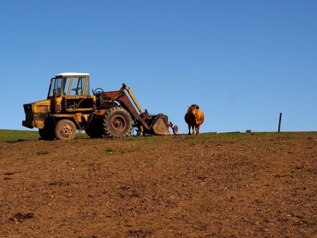 Izba Rolnicza apeluje do samorządowców, aby nie podnosili podatku rolnego na 2013 rok