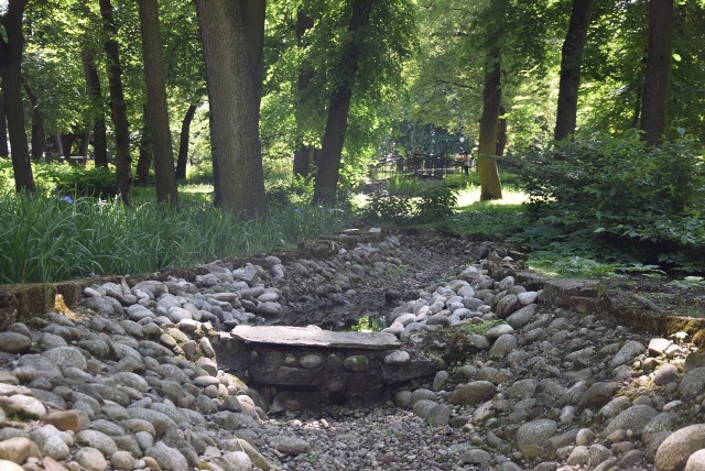 Strumyk łączący górny i dolny staw w Ogrodzie Saskim ma dno wyłożone kamieniami, jest otoczony zielenią. Z tym, że od dawna nie płynie nim woda. Problem nie jest nowy.