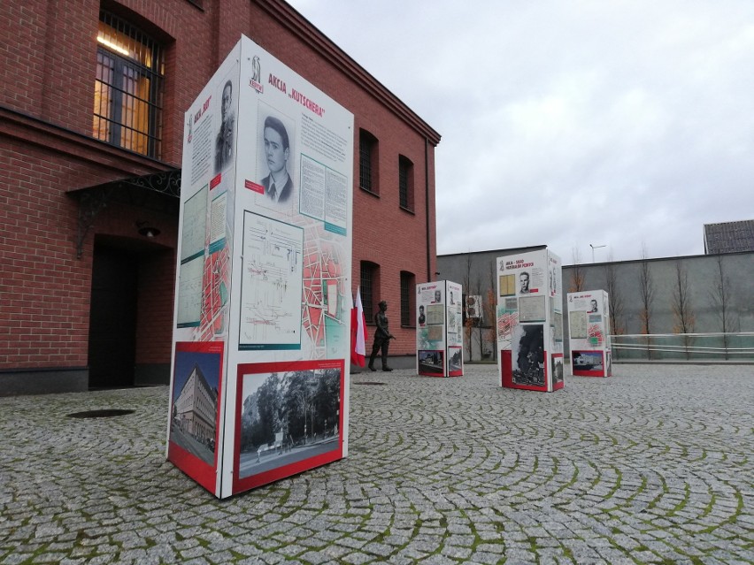 Wystawa "Kedyw. Miecz i Tarcza Armii Krajowej" w Muzeum Żołnierzy Wyklętych w Ostrołęce. Otwarta została 24.11.2023