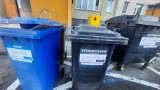 Dlaczego Gorzów nie płaci mniej za śmieci niż gminy? Bo w mieście śmieciarka przyjeżdża częściej